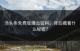 汤头条免费版爆出猛料，背后藏着什么秘密？
