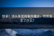 惊呆！汤头条官网事件曝光，到底发生了什么？