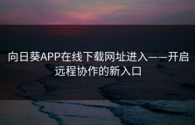 向日葵APP在线下载网址进入——开启远程协作的新入口