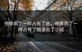 他像疯了一样占有了她，他像疯了一样占有了她退出了小说
