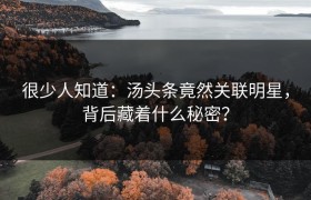 很少人知道：汤头条竟然关联明星，背后藏着什么秘密？