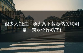 很少人知道：汤头条下载竟然关联明星，网友全炸锅了！