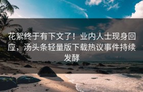 花絮终于有下文了！业内人士现身回应，汤头条轻量版下载热议事件持续发酵