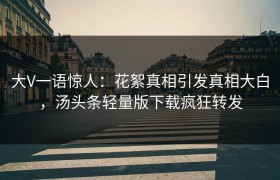 大V一语惊人：花絮真相引发真相大白，汤头条轻量版下载疯狂转发