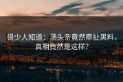 很少人知道：汤头条竟然牵扯黑料，真相竟然是这样？
