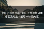 你用51网总觉得不顺？大概率是分类命名没对上（最后一句最关键）