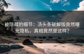 被隐藏的细节：汤头条破解版竟然曝光隐私，真相竟然是这样？