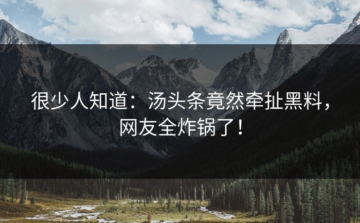 很少人知道：汤头条竟然牵扯黑料，网友全炸锅了！