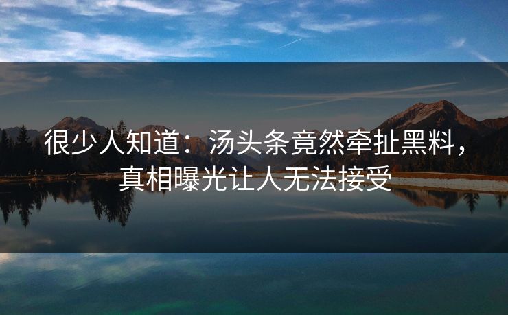 很少人知道：汤头条竟然牵扯黑料，真相曝光让人无法接受