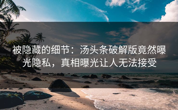 被隐藏的细节：汤头条破解版竟然曝光隐私，真相曝光让人无法接受