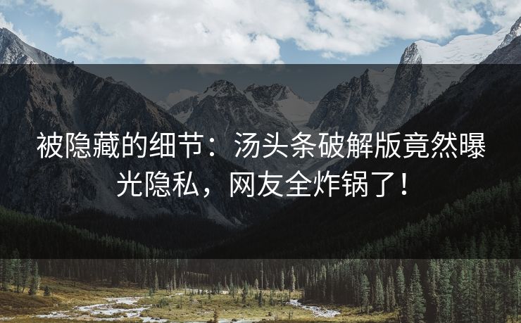 被隐藏的细节：汤头条破解版竟然曝光隐私，网友全炸锅了！
