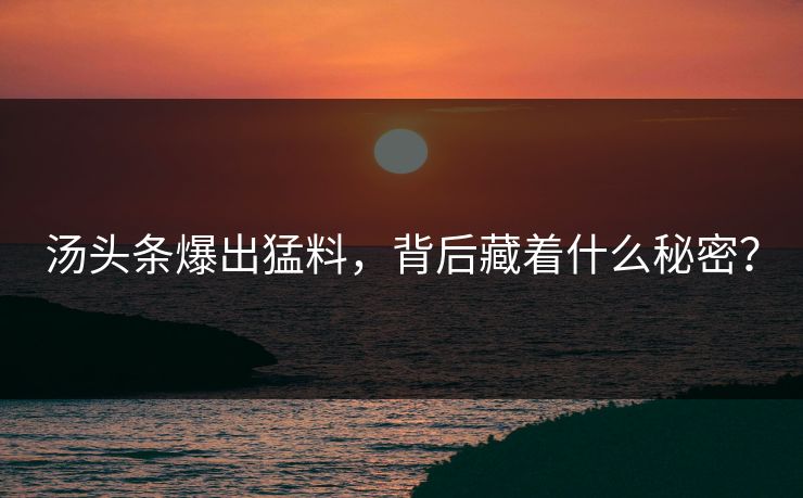 汤头条爆出猛料，背后藏着什么秘密？