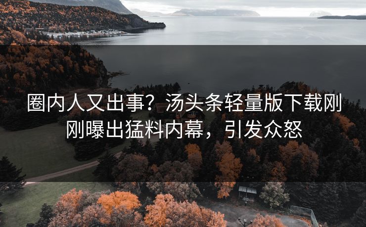 圈内人又出事？汤头条轻量版下载刚刚曝出猛料内幕，引发众怒