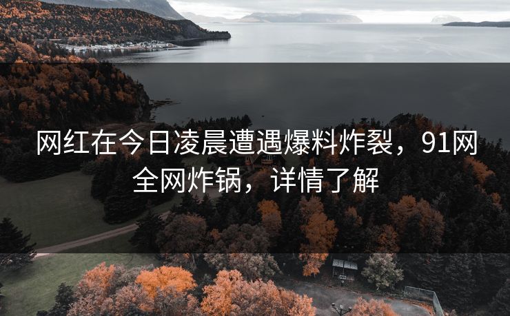 网红在今日凌晨遭遇爆料炸裂，91网全网炸锅，详情了解