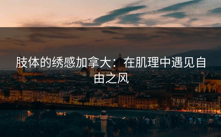 肢体的绣感加拿大：在肌理中遇见自由之风
