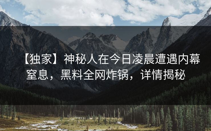 【独家】神秘人在今日凌晨遭遇内幕窒息，黑料全网炸锅，详情揭秘