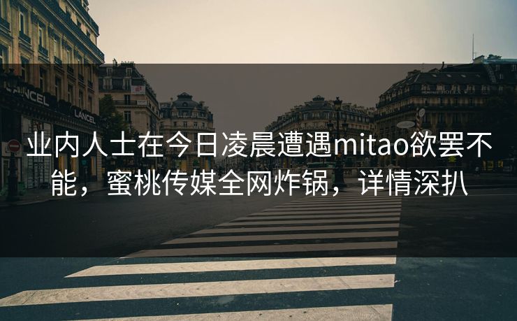 业内人士在今日凌晨遭遇mitao欲罢不能，蜜桃传媒全网炸锅，详情深扒