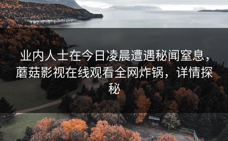 业内人士在今日凌晨遭遇秘闻窒息，蘑菇影视在线观看全网炸锅，详情探秘